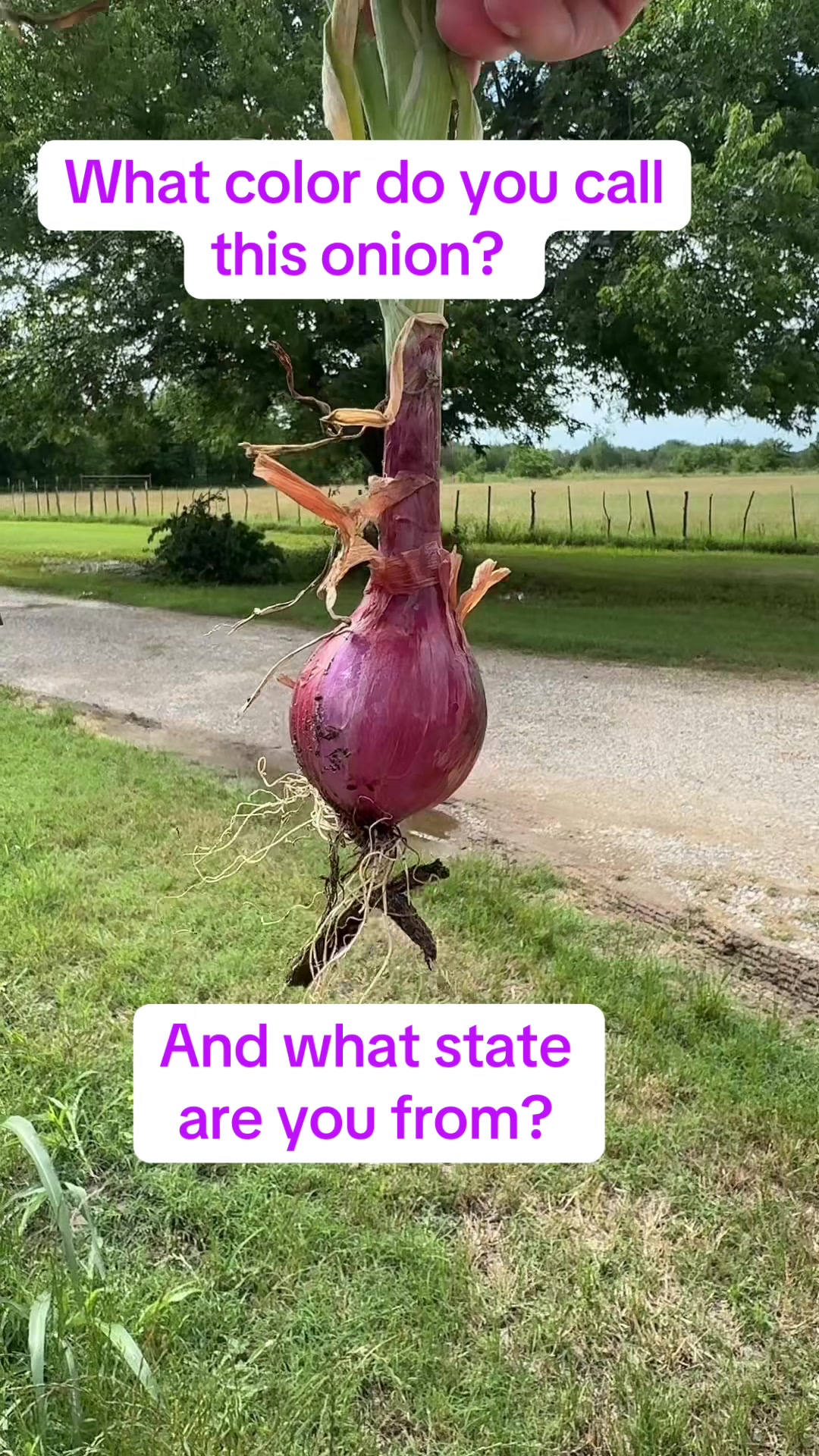 @bankstonag