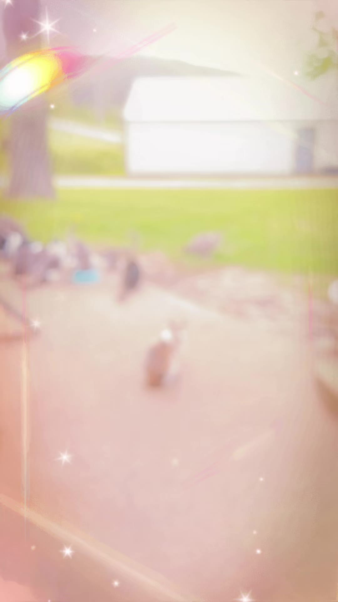 @Laura animal lover 🦆
