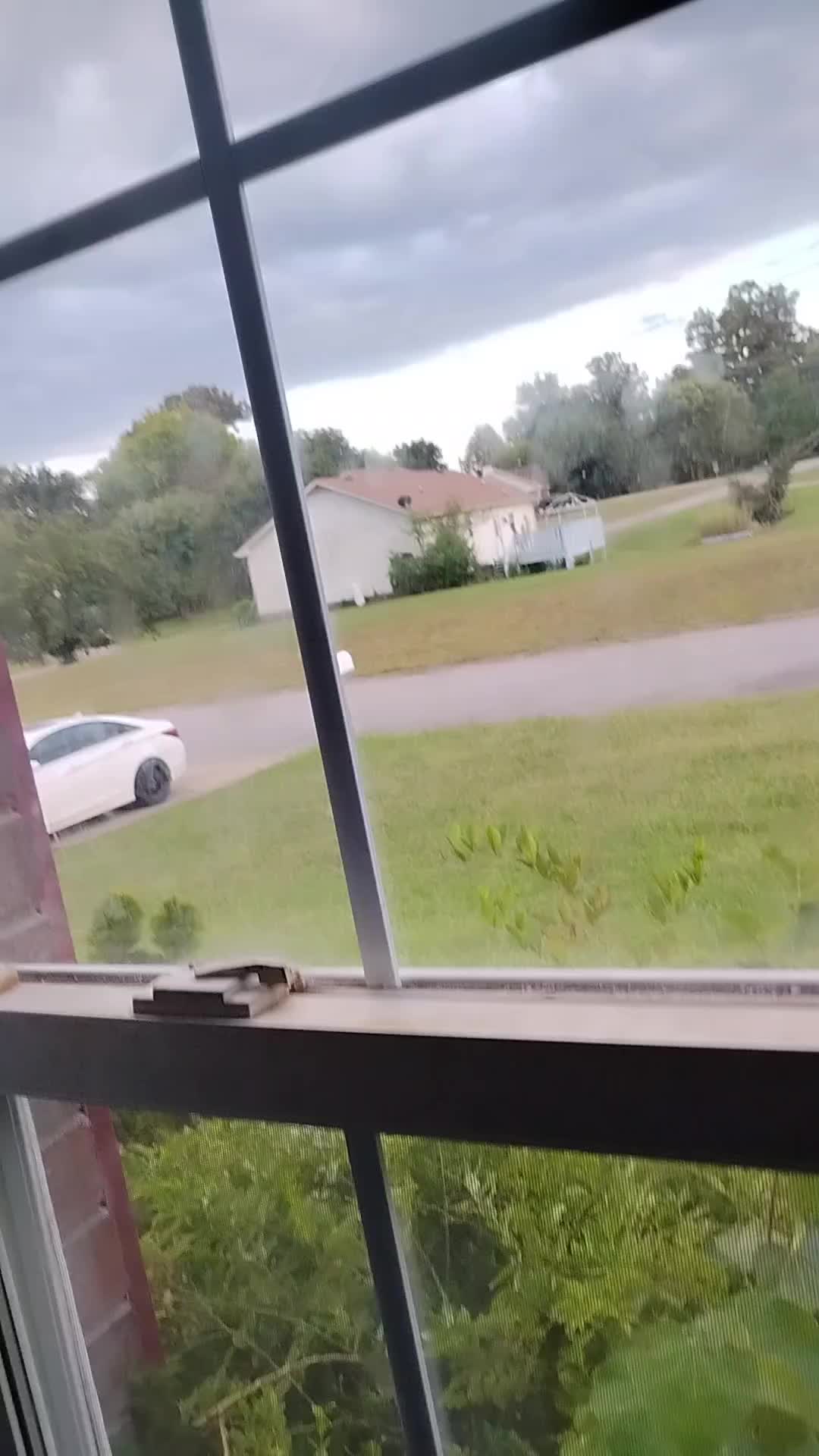 @Zachary Ogden