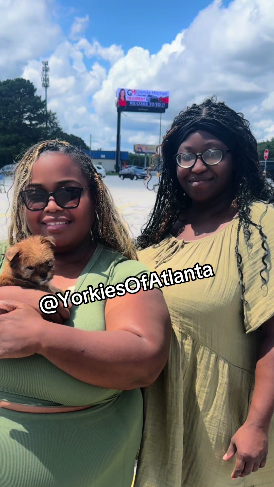 @Yorkies Of Atlanta