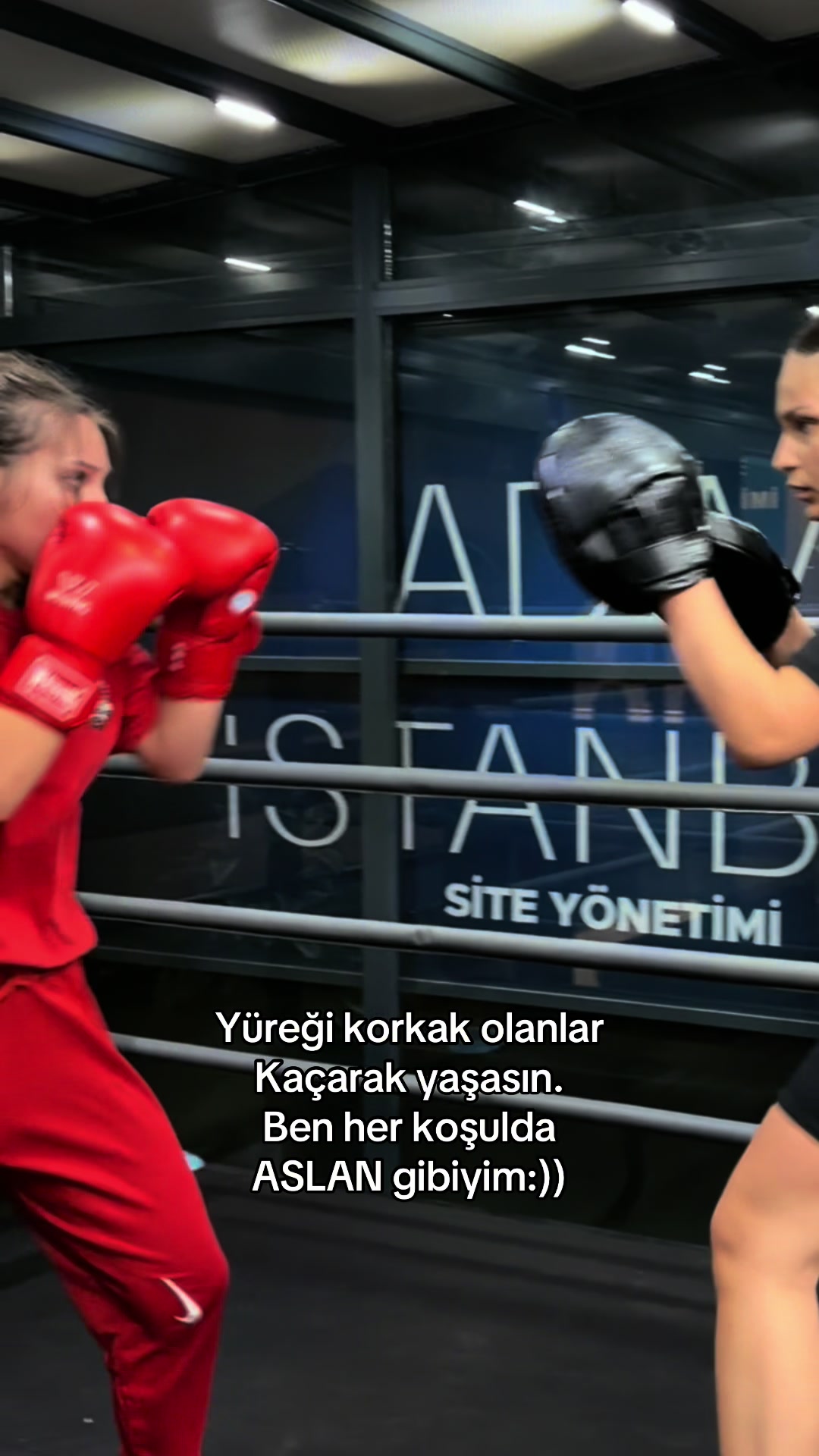 @B&Uuml;ŞRA