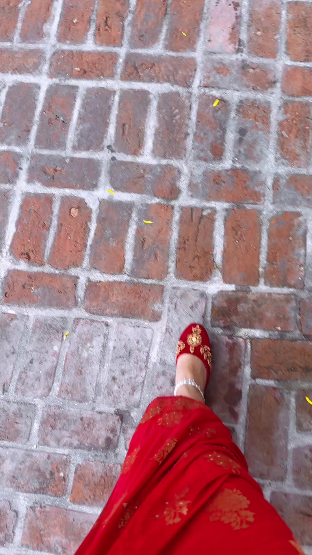 @sushshrest