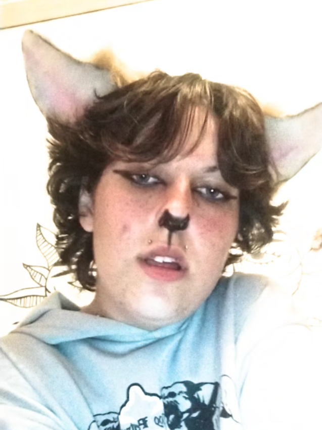 @𐂯✮⋆𝙷𝚞𝚙𝚘𝚕˙𓃡₊˚⊹🐾