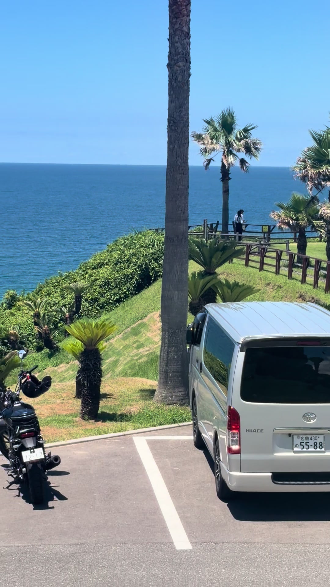 @ヤ、ヤンマジェ⁉️