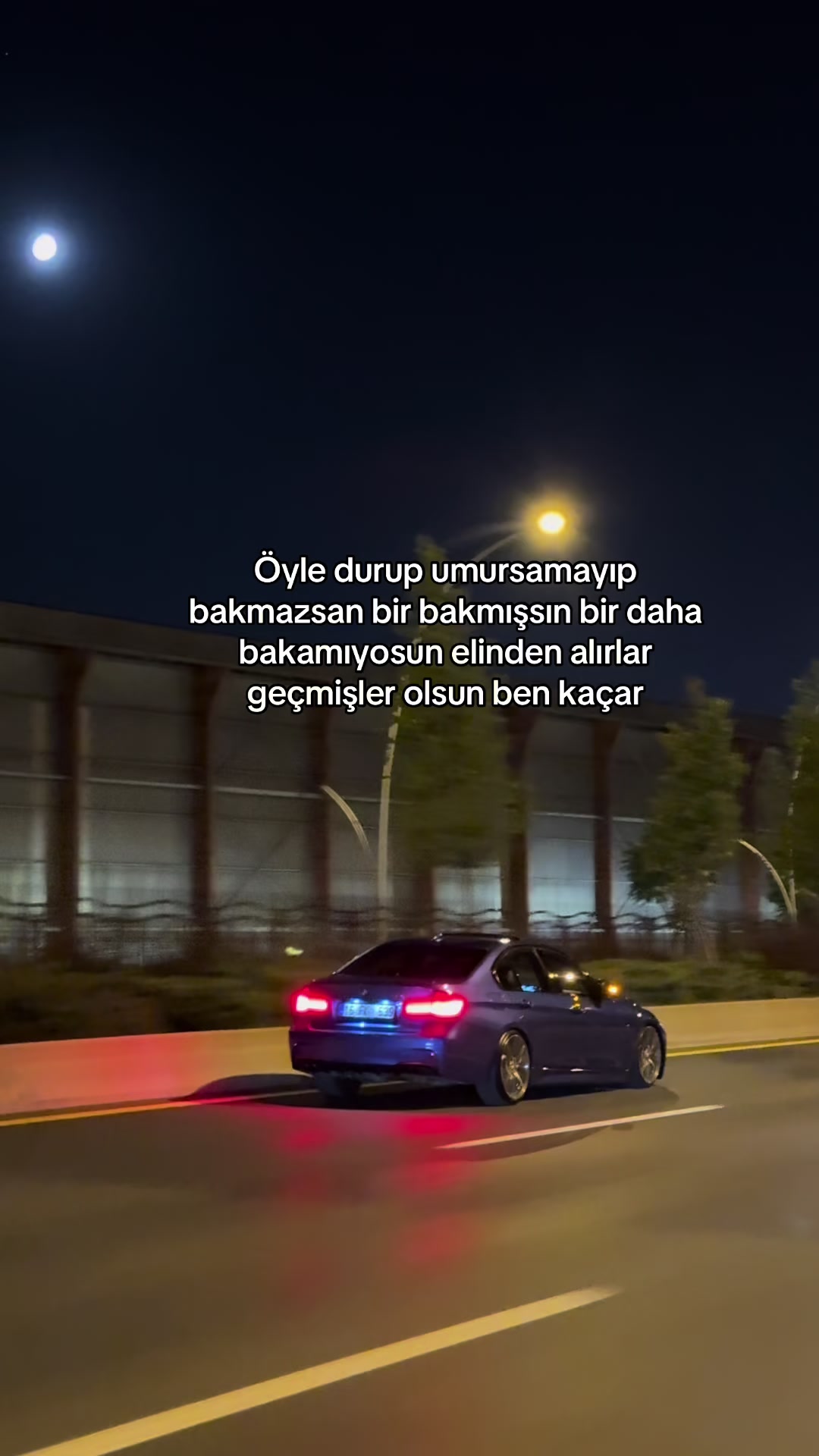 @talhalyn