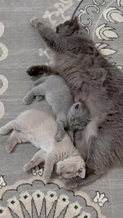 @@yulya_kusaiko