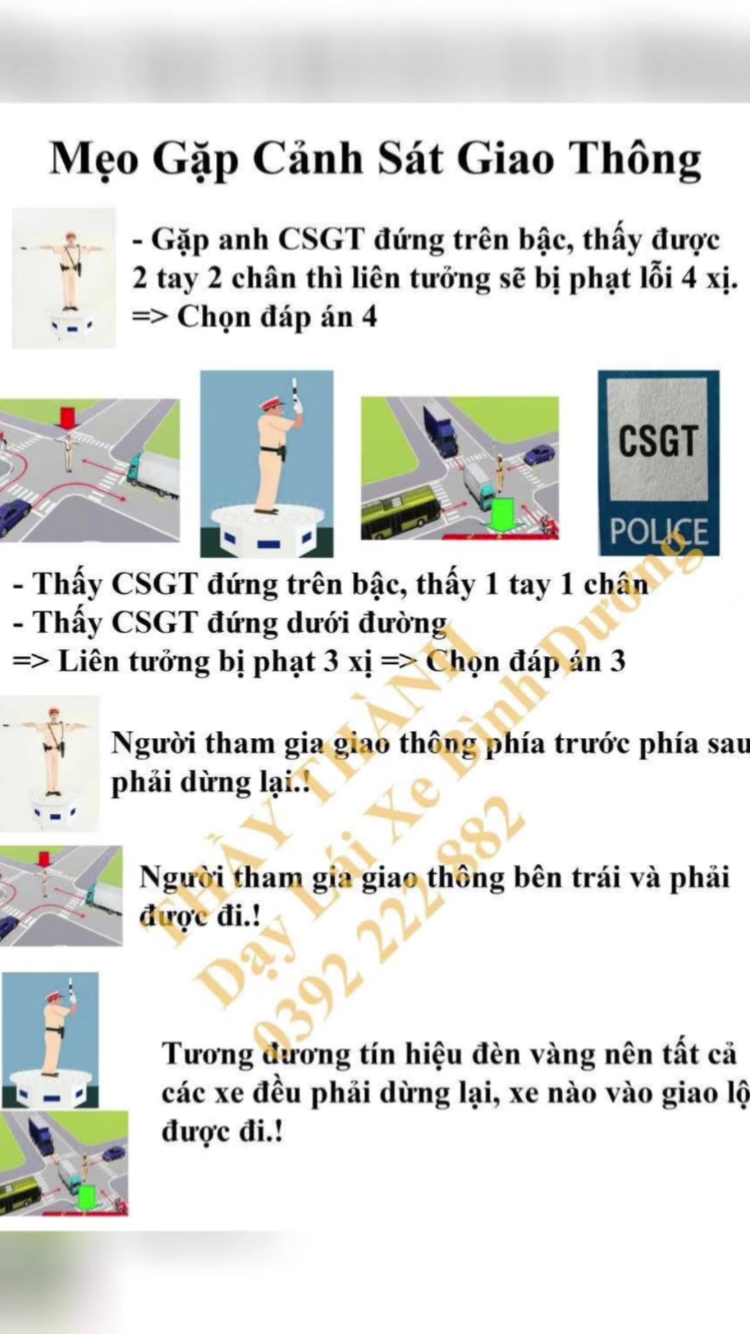 @Hồng V&acirc;n Đ&agrave;o Tạo L&aacute;i Xe