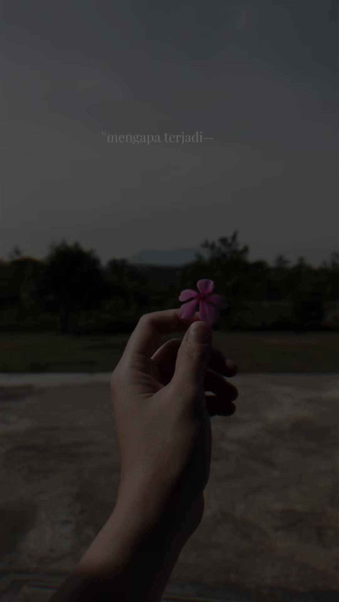 @Renie Lee🌼