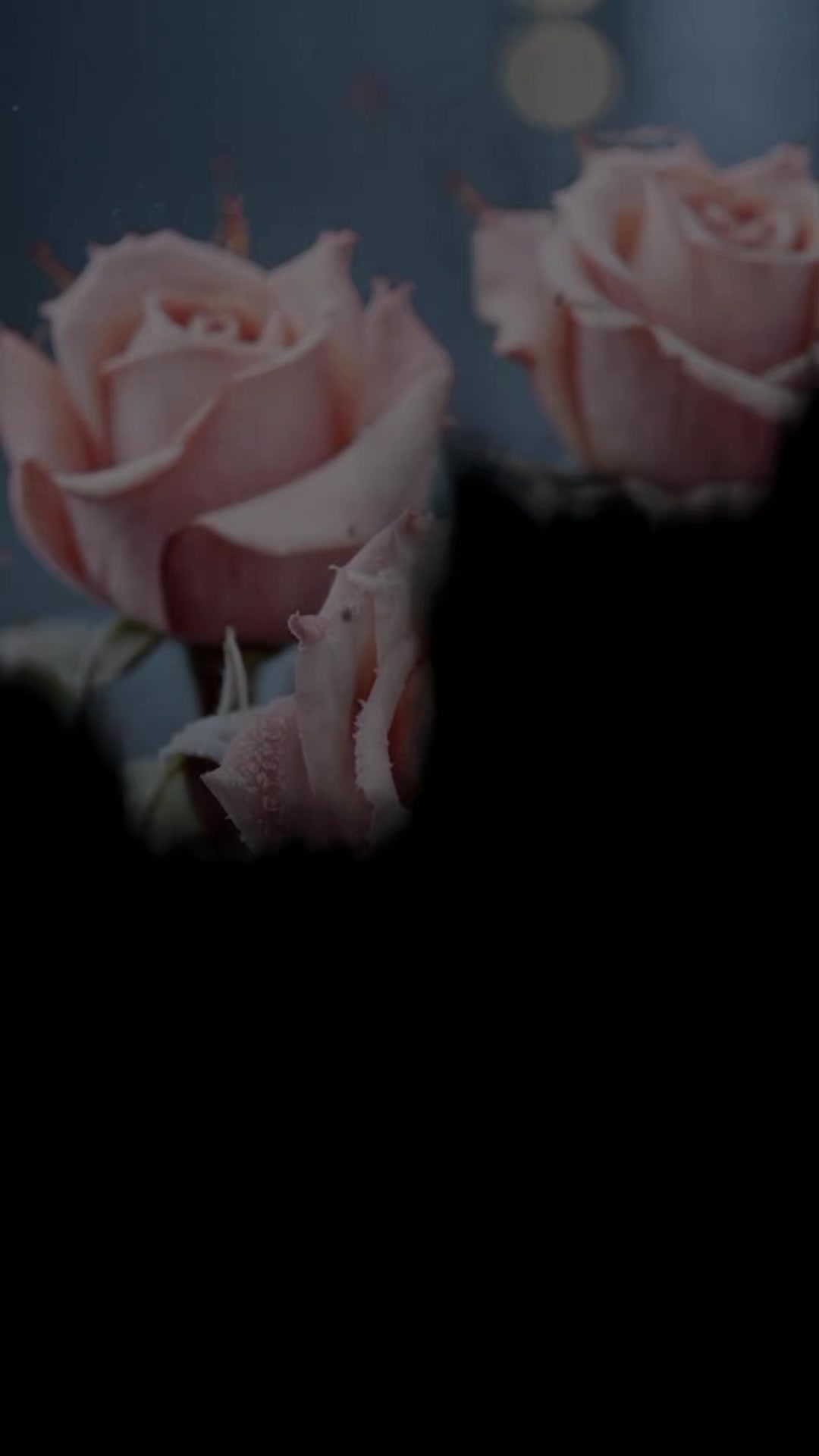 @𝐁𝐊𝐖𝐑𝐈𝐓𝐄𝐒 🫶🌹🦜