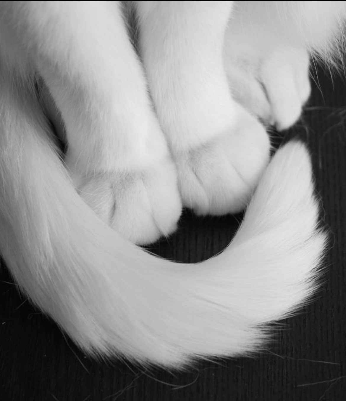 @DᴏʟʟʏBᴏʏ<3