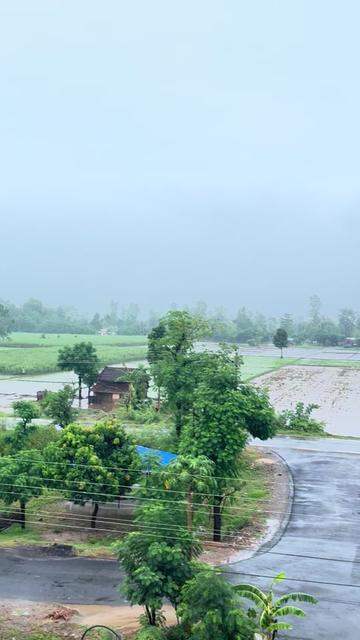 @Tara Lama Tamang