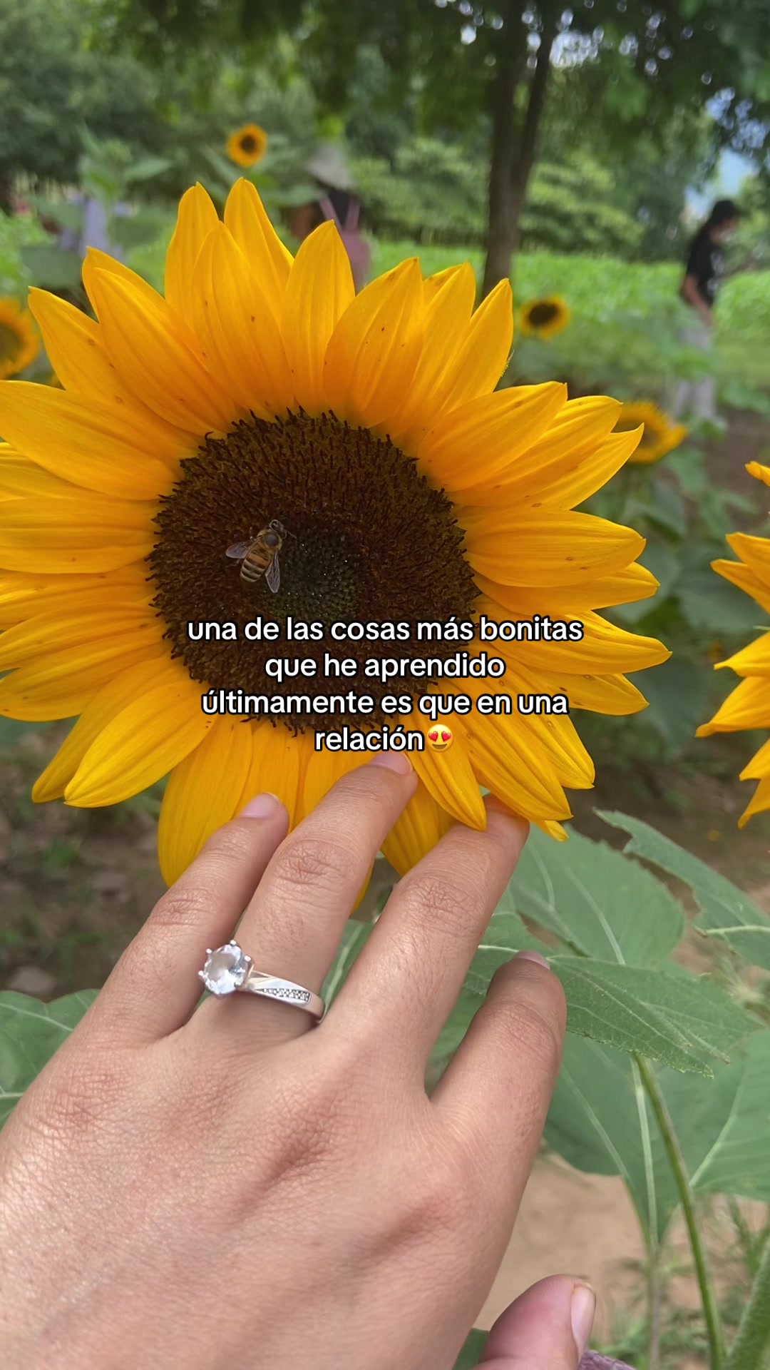 @yolibeth👑🌿🎧