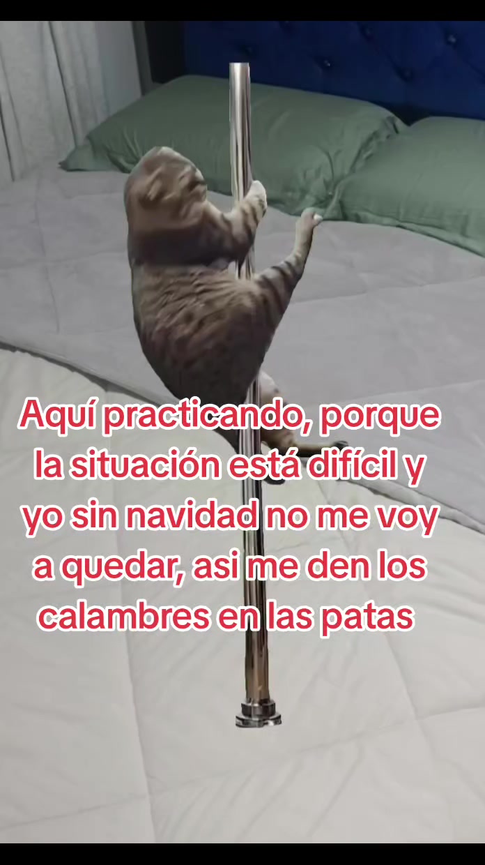 @𝓕𝓮𝓵𝓲𝓬𝓱𝓸 :p