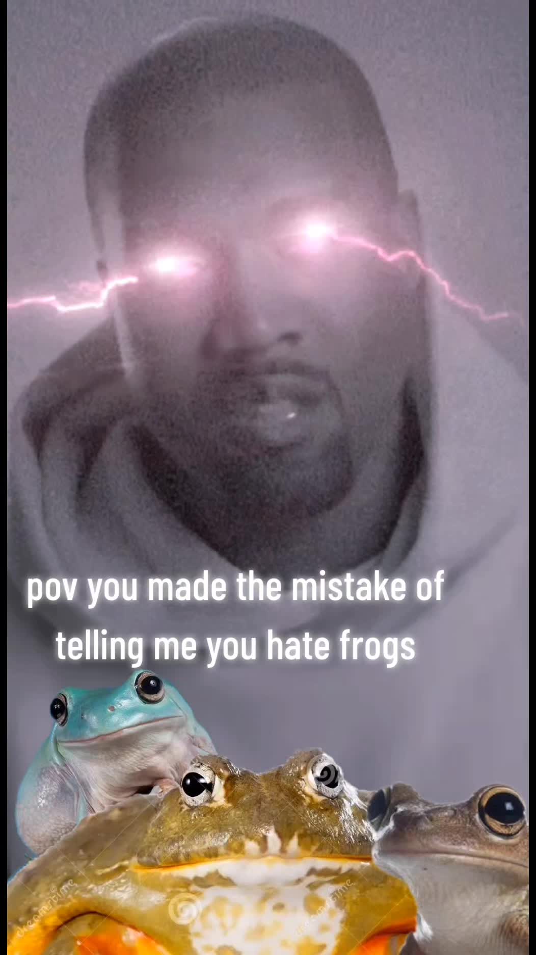 @frogs and autism