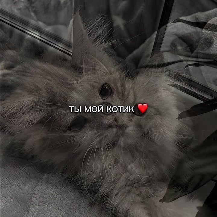 @ХХИКА