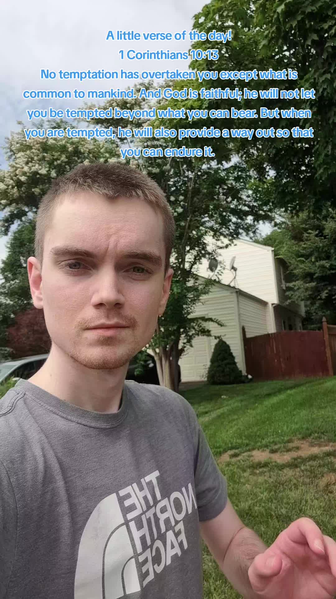 @Wingiteer🪽
