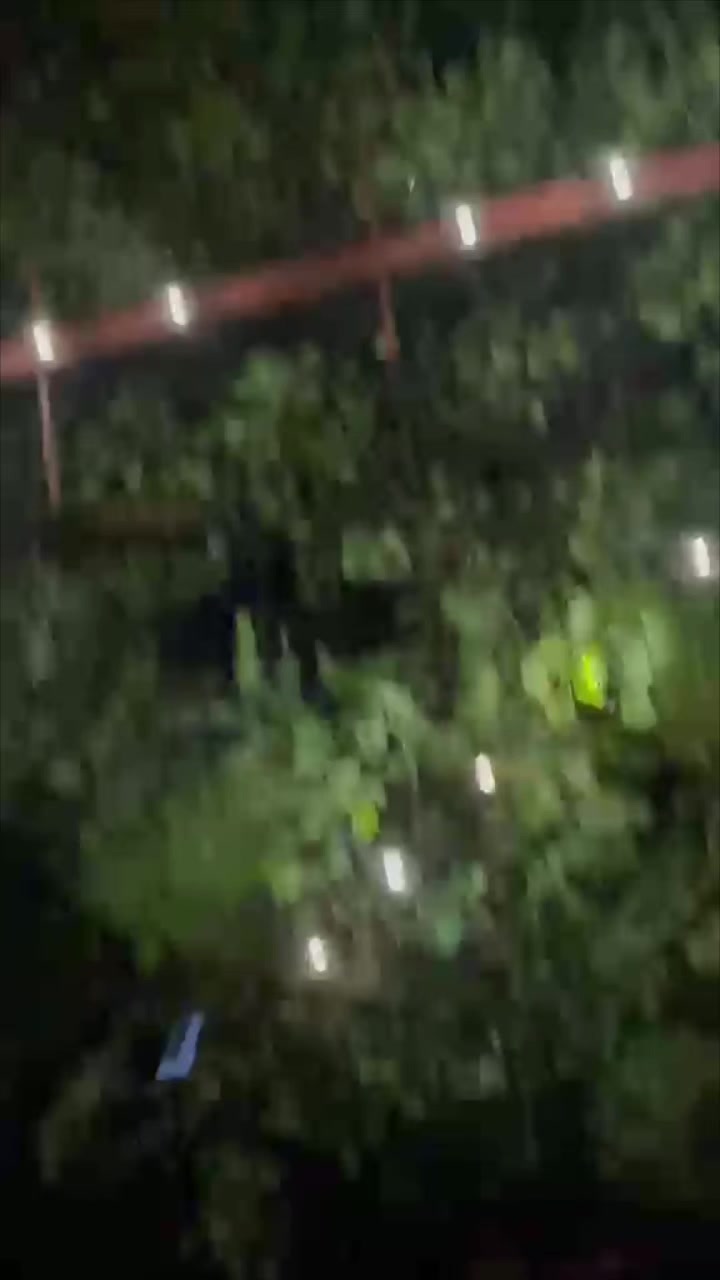 @Rabia Sarı