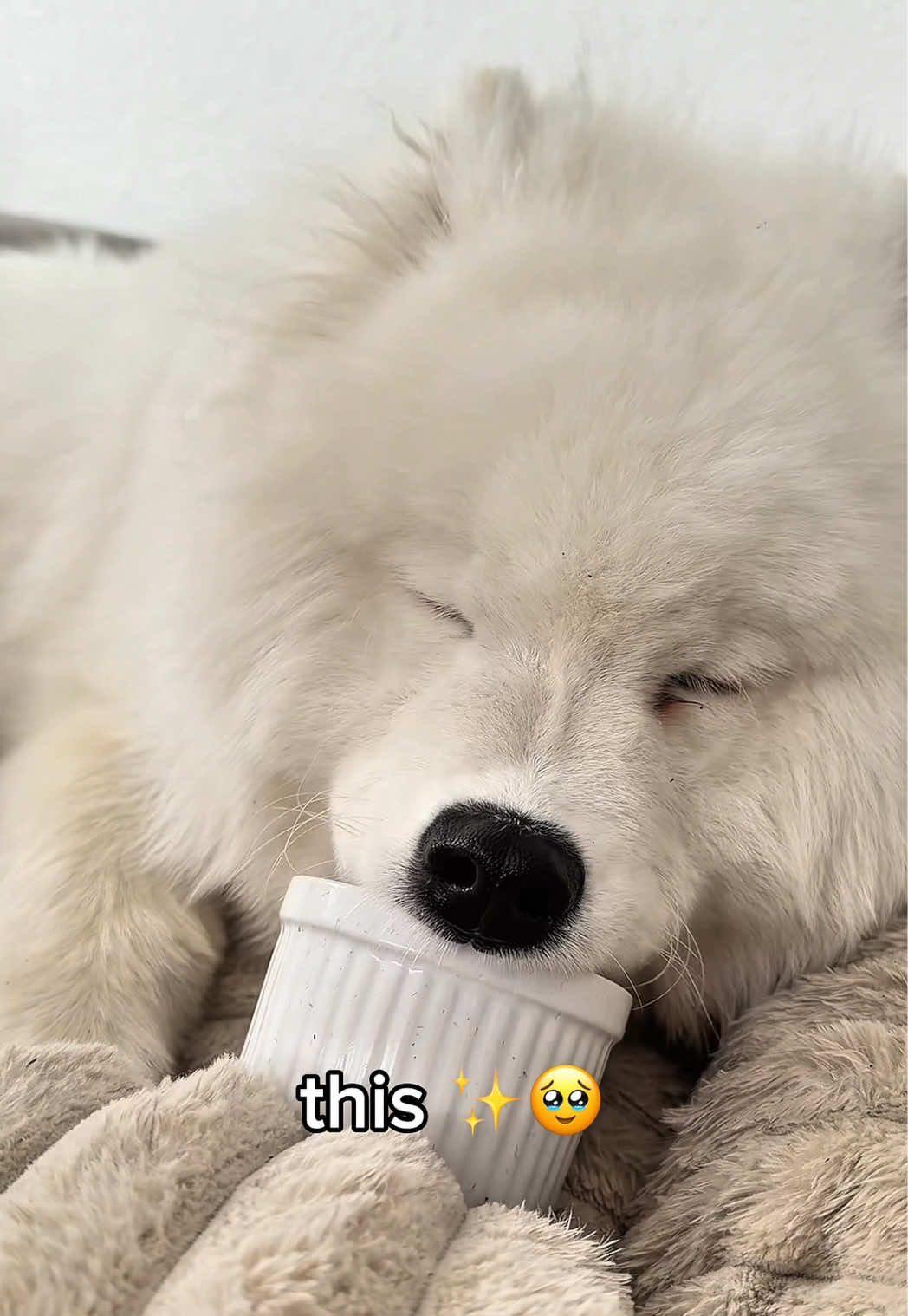 @snowydayswithlio