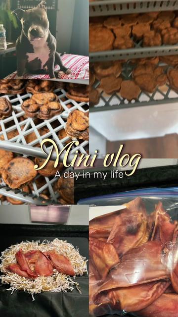 @hairstylingdoglady