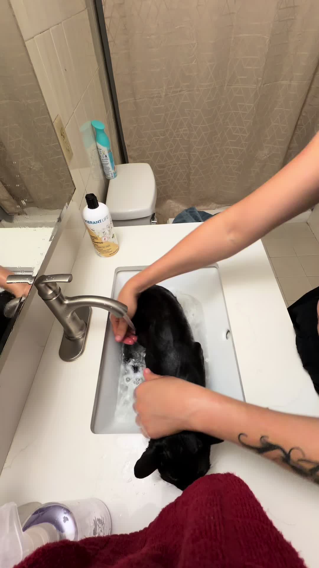 @I&rsquo;m Kitty 🐈&zwj;⬛