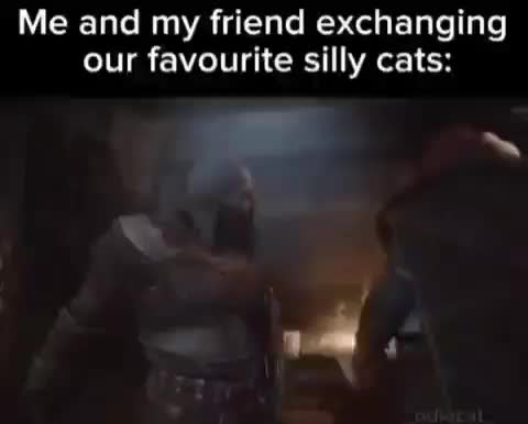 @🟥🟩🟦😺🐈RGB cat🟥🟩🟦😺🐈