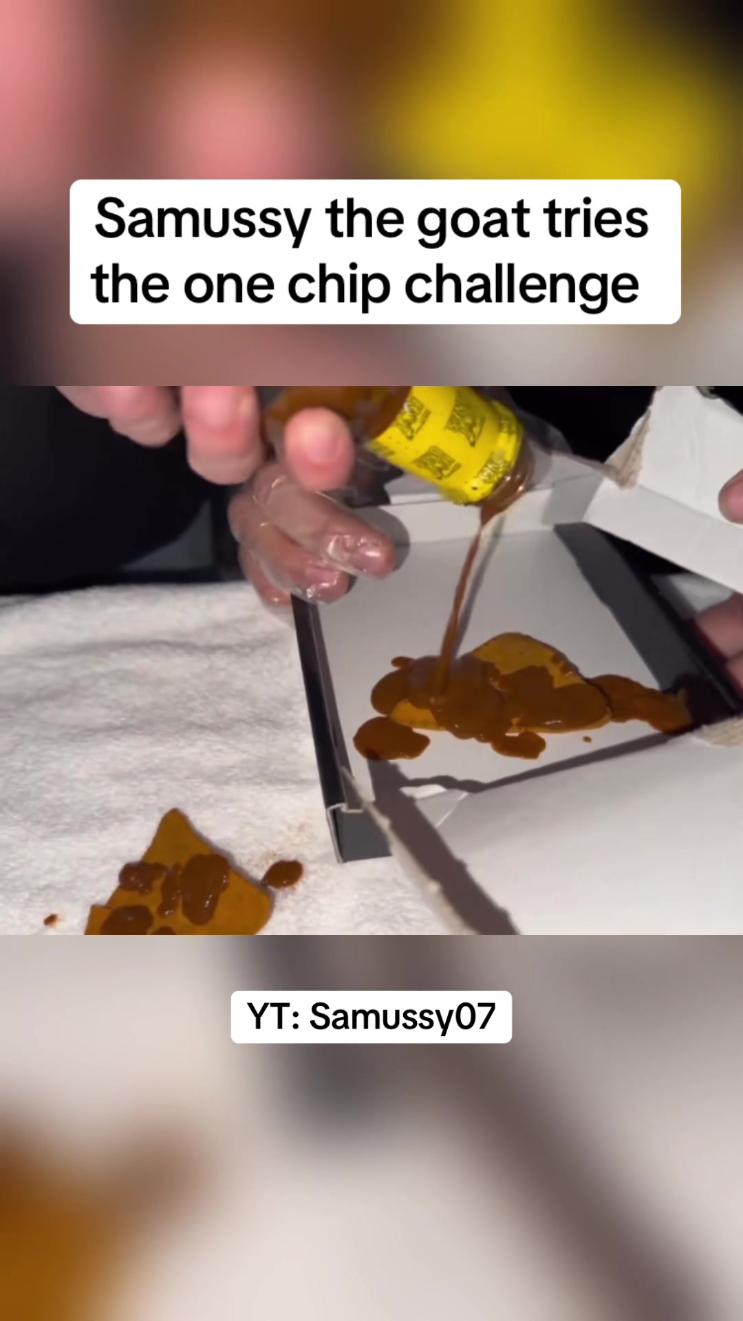 @Samussy