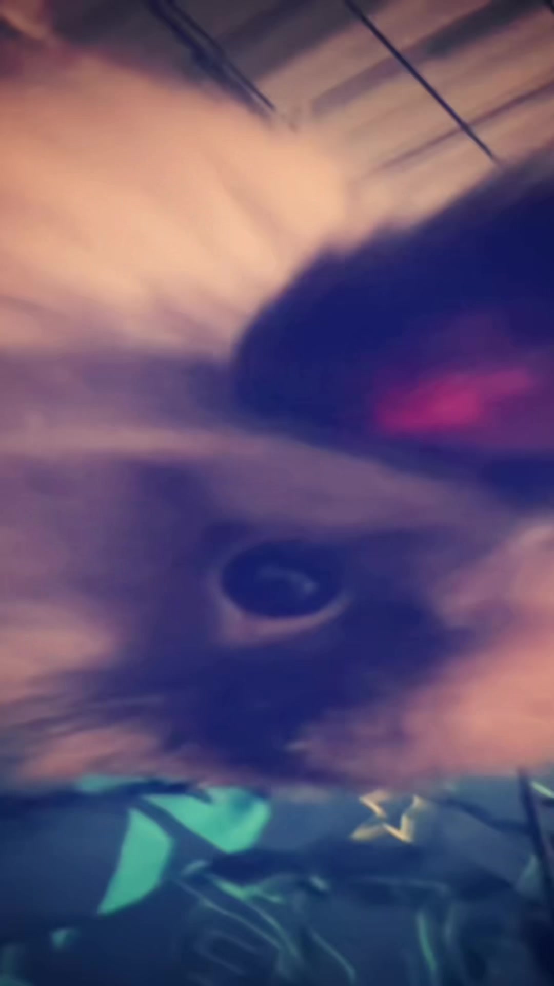 @Fadedbunny69