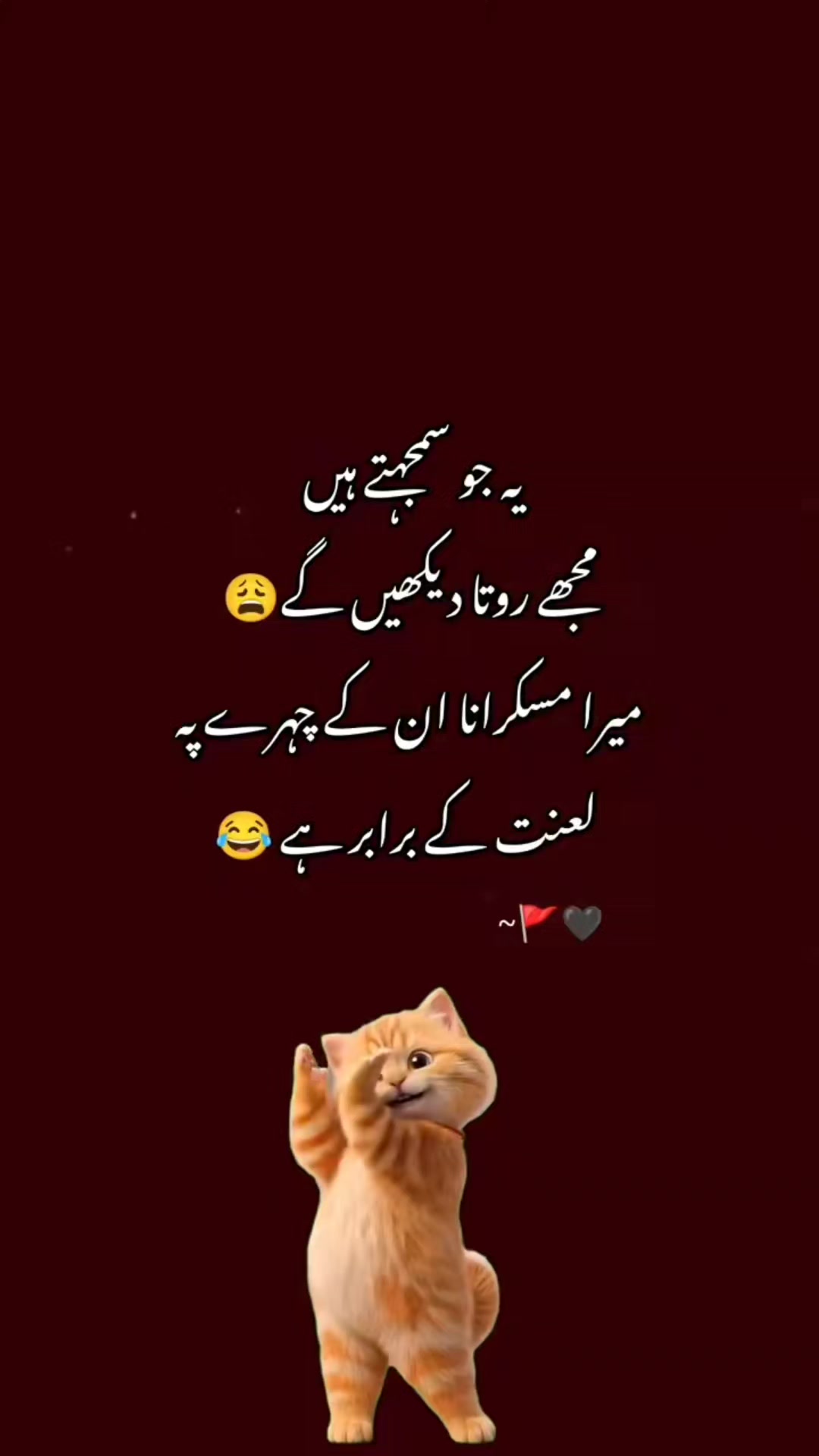 @Syed zarashah039
