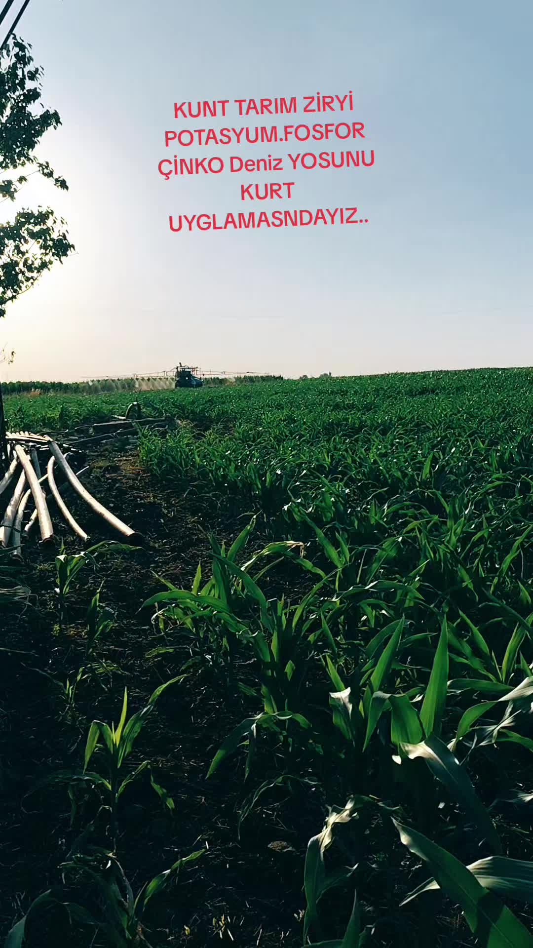 @Barış kuntsiiverekli