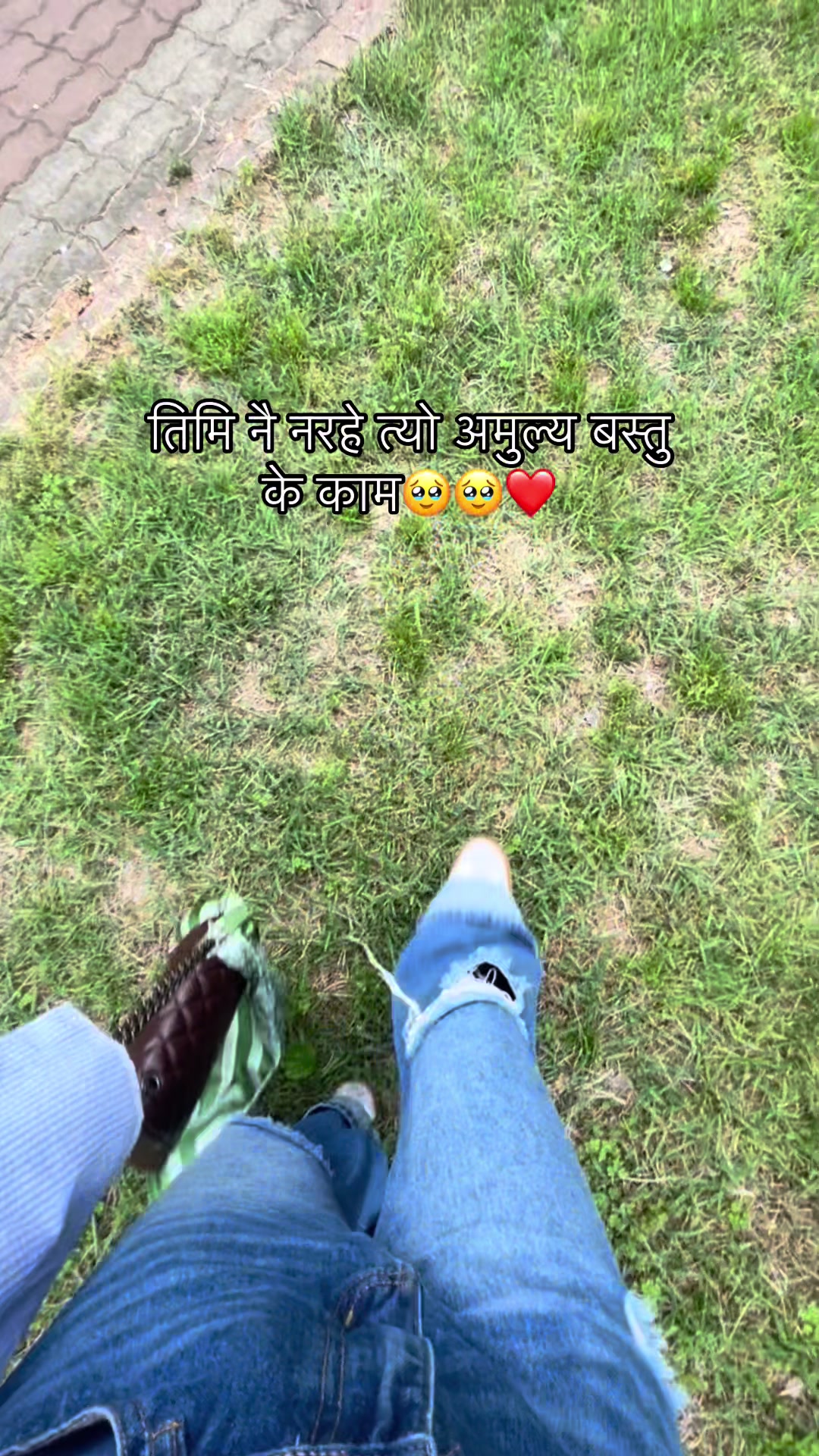 @🦚🕊️