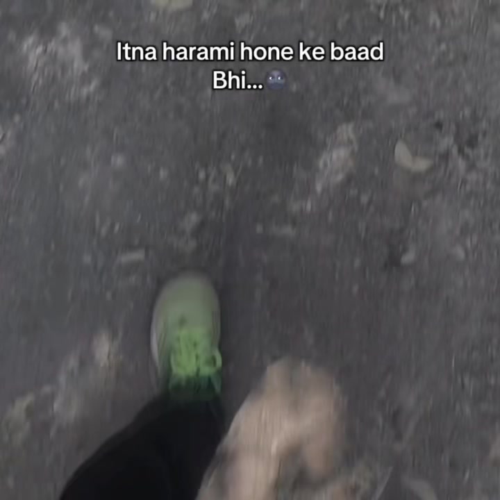 @nirmal_kashwani0