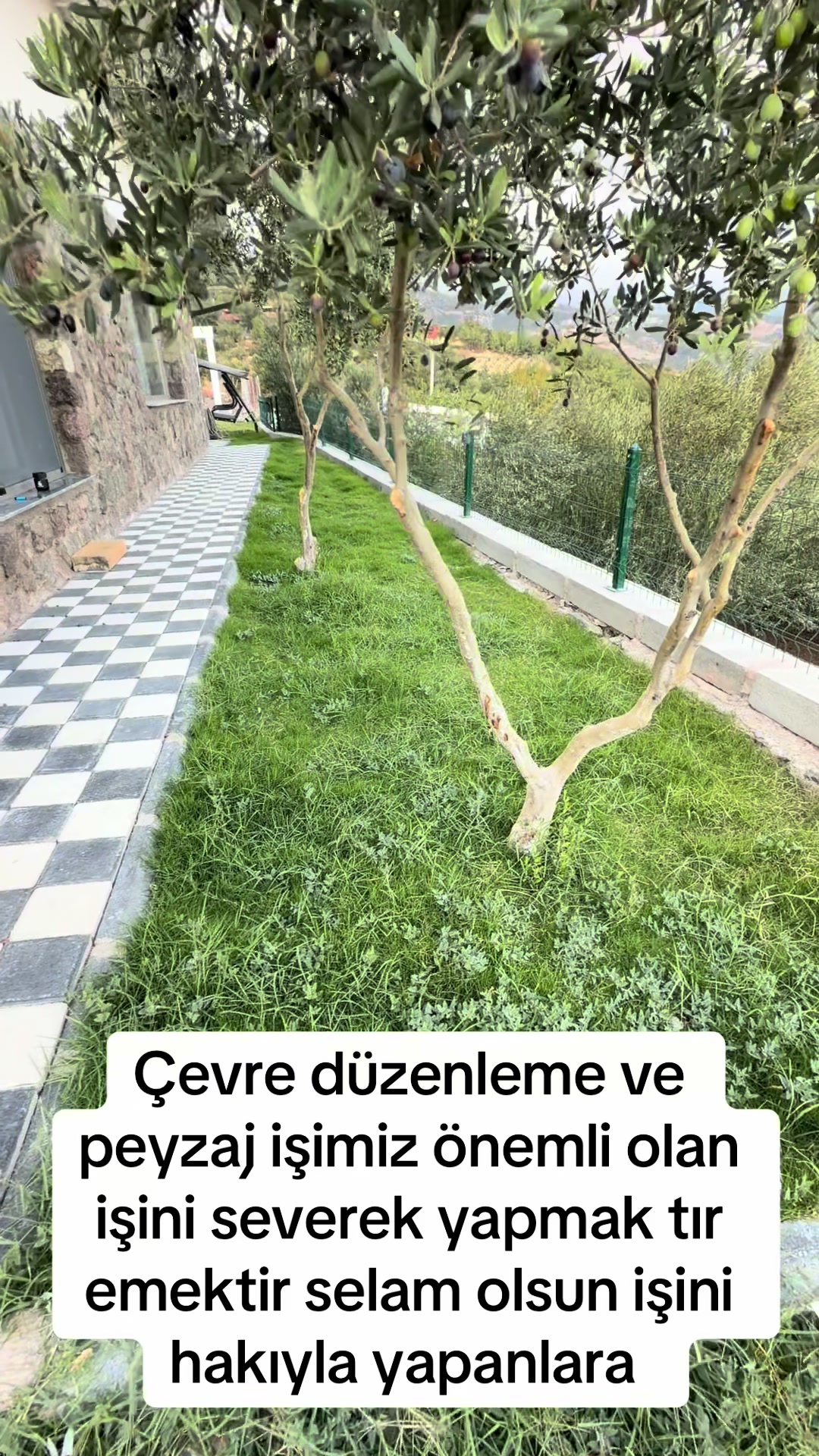 @Şeyhmus