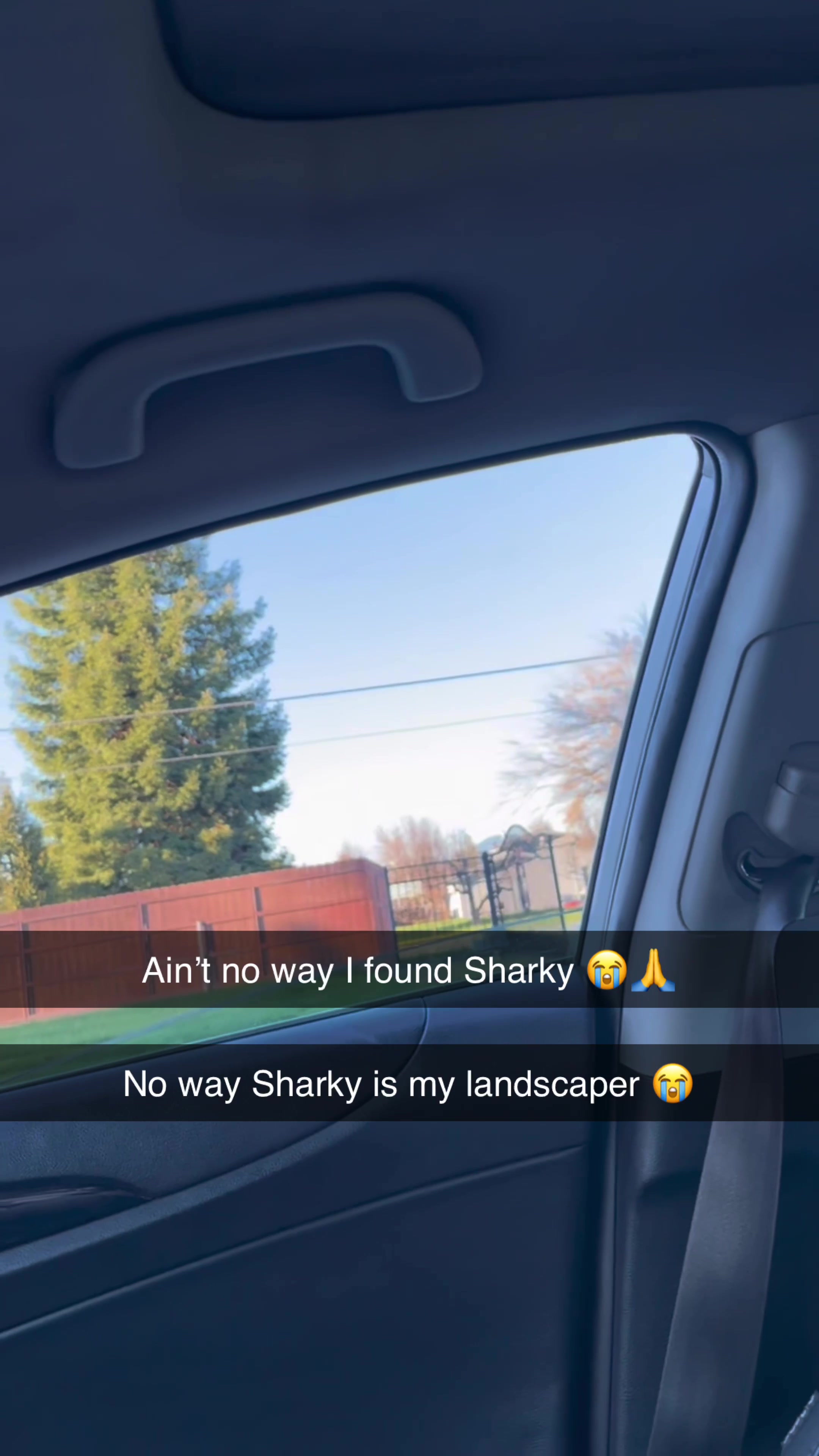 @Sharkyslams