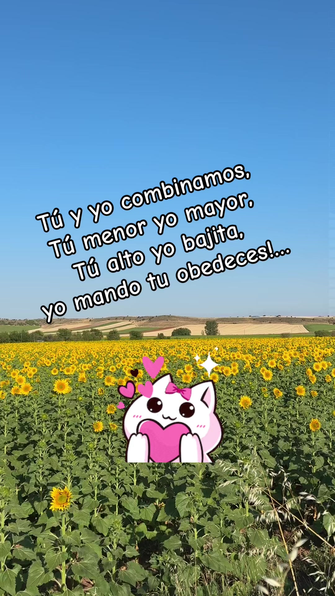 @😻 LALI 😻