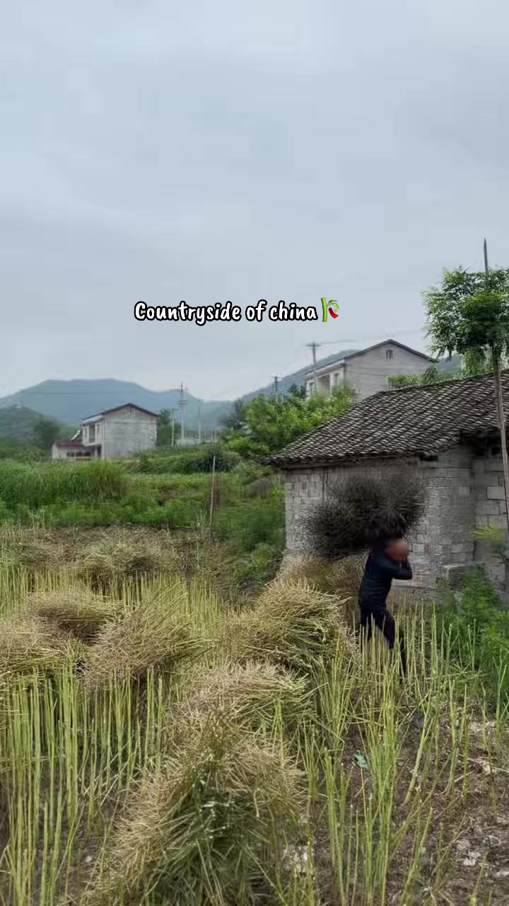 @gailwanderingchina