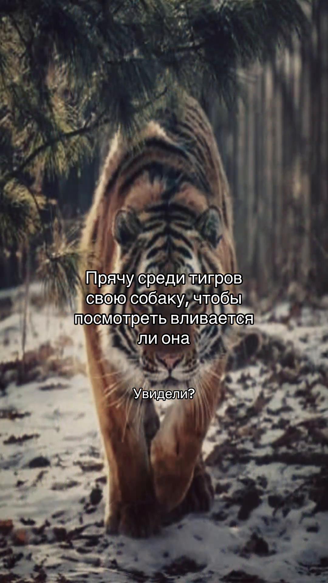 @otpravi.drugu
