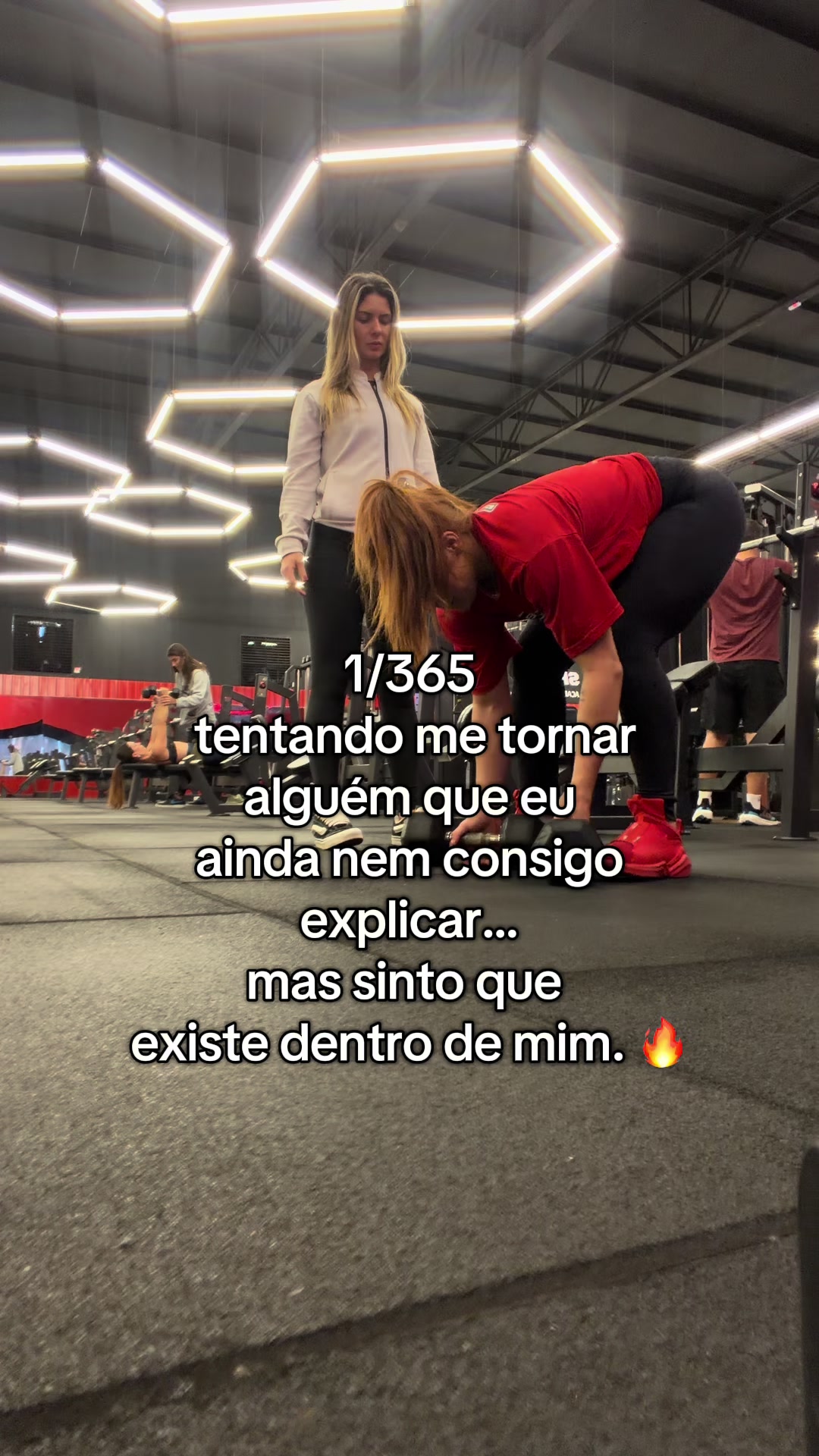 @dridegrossi