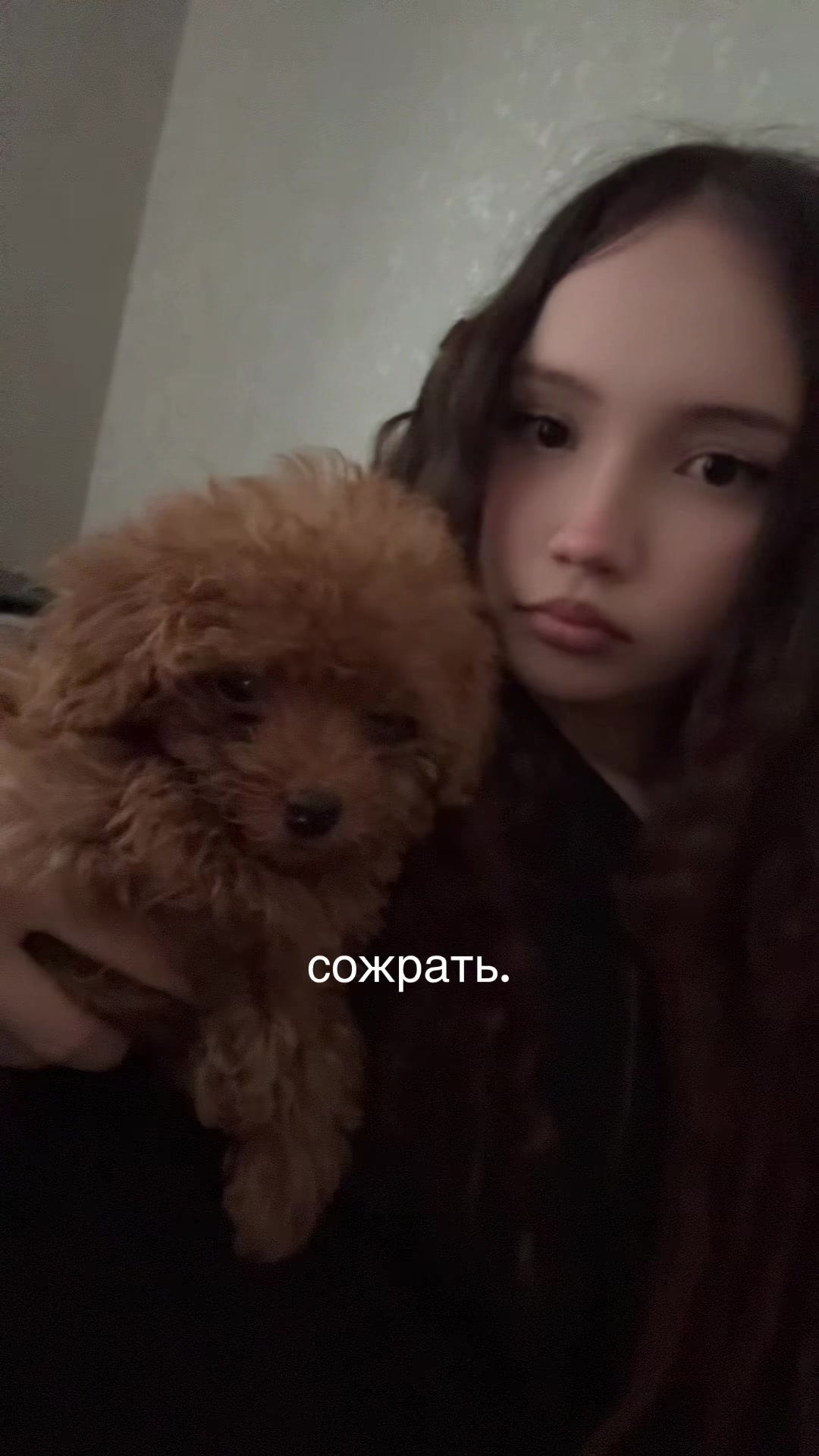 @тгк: nikakaiser