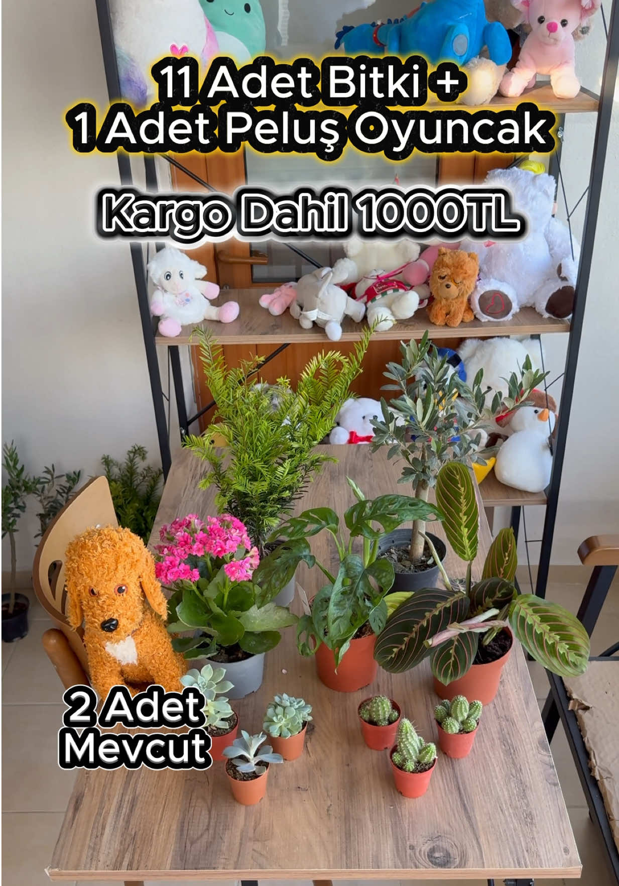 @Saklı bah&ccedil;e Bitkileri
