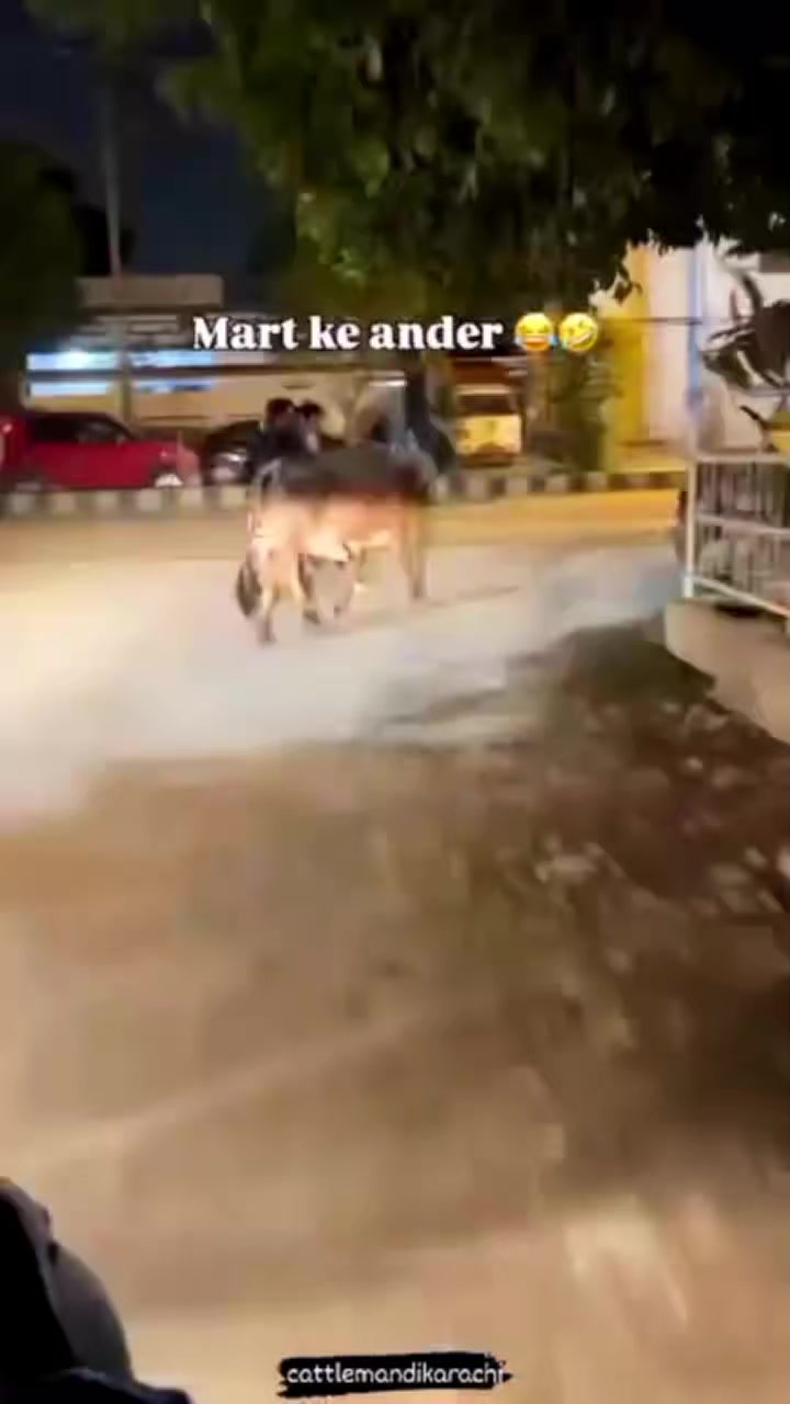 @Sameer._.Raza🤣
