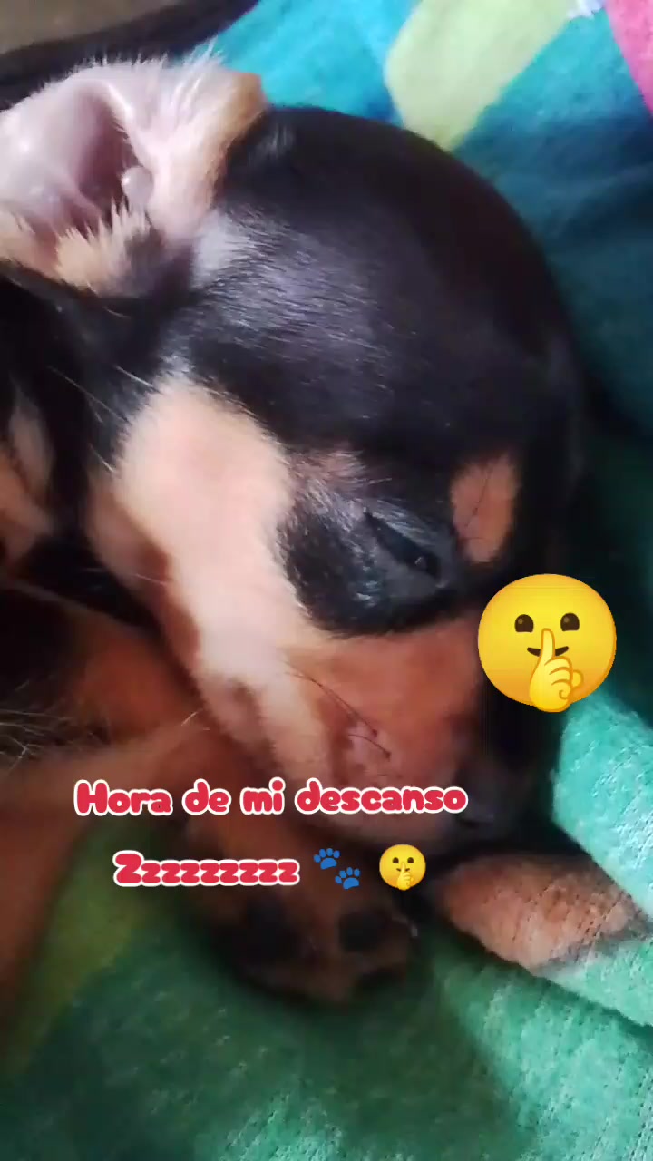 @🐶 Benji_Mya 🐾🐕