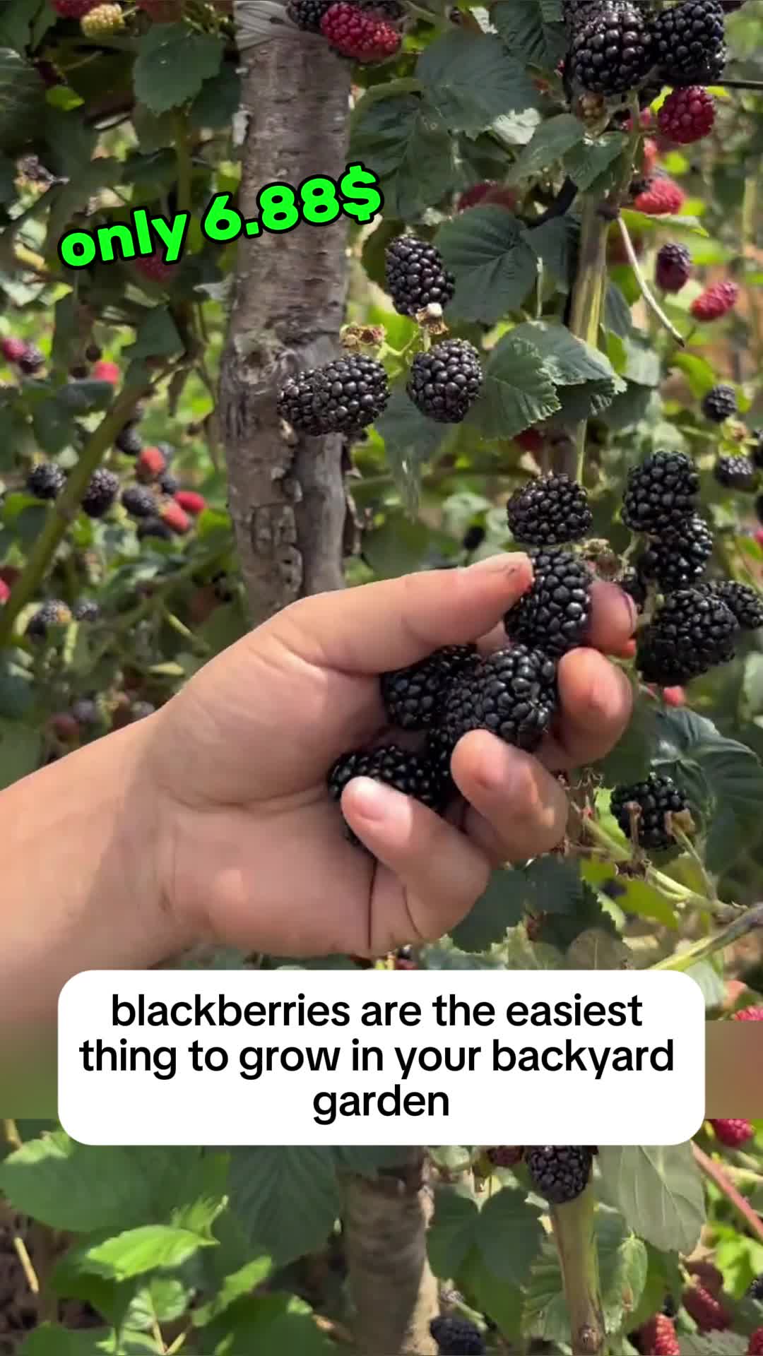 @1