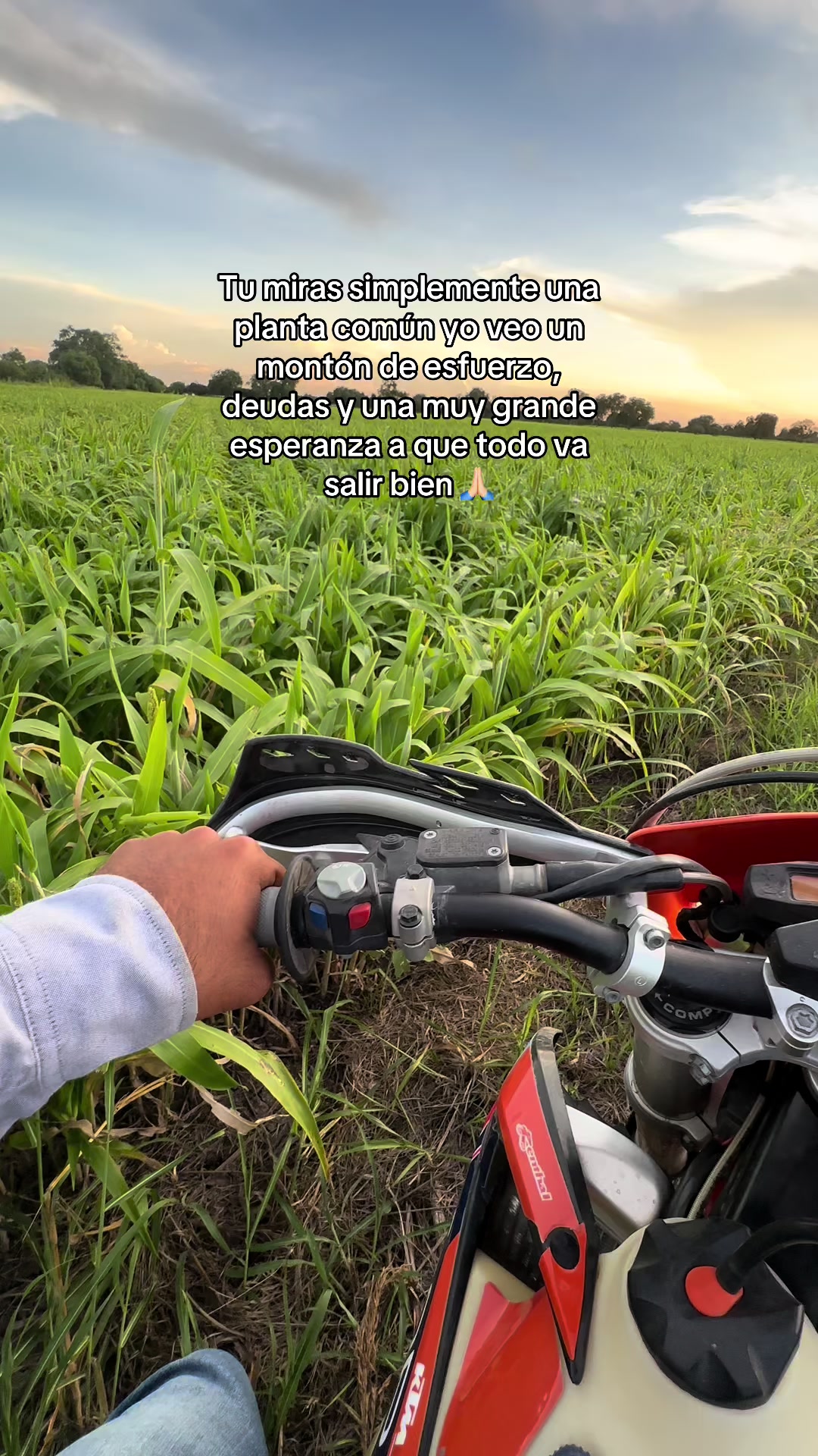 @el_menor_04
