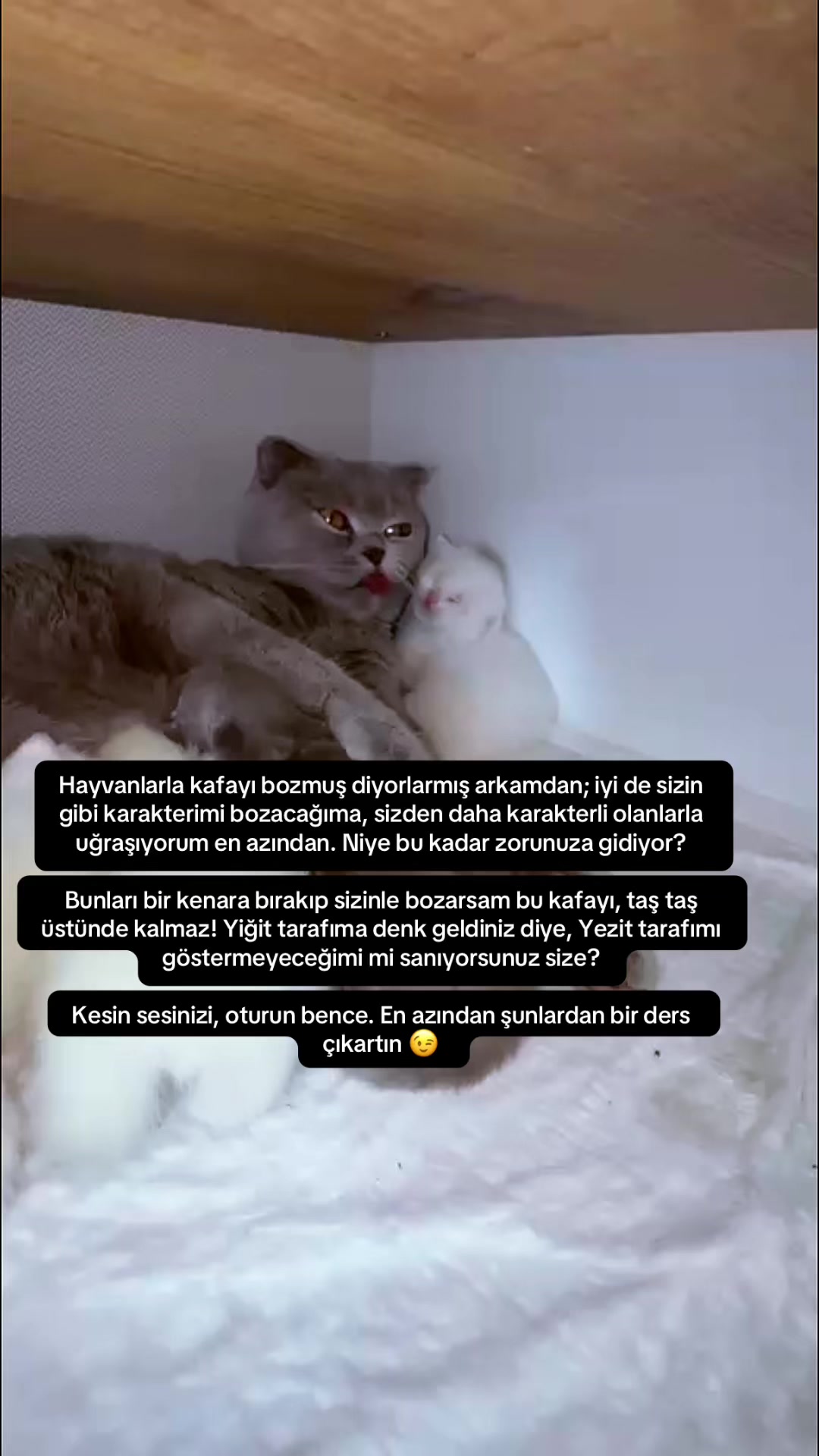 @Sezen damar❤️