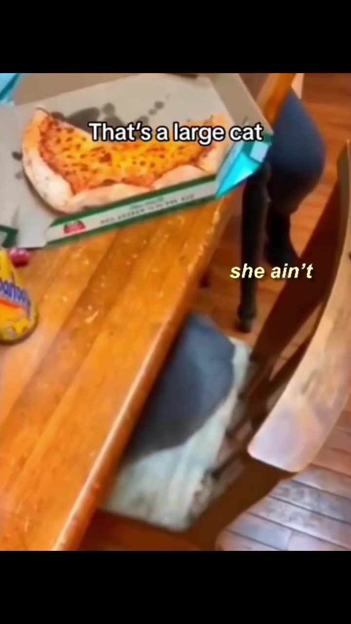@TheFatMemes