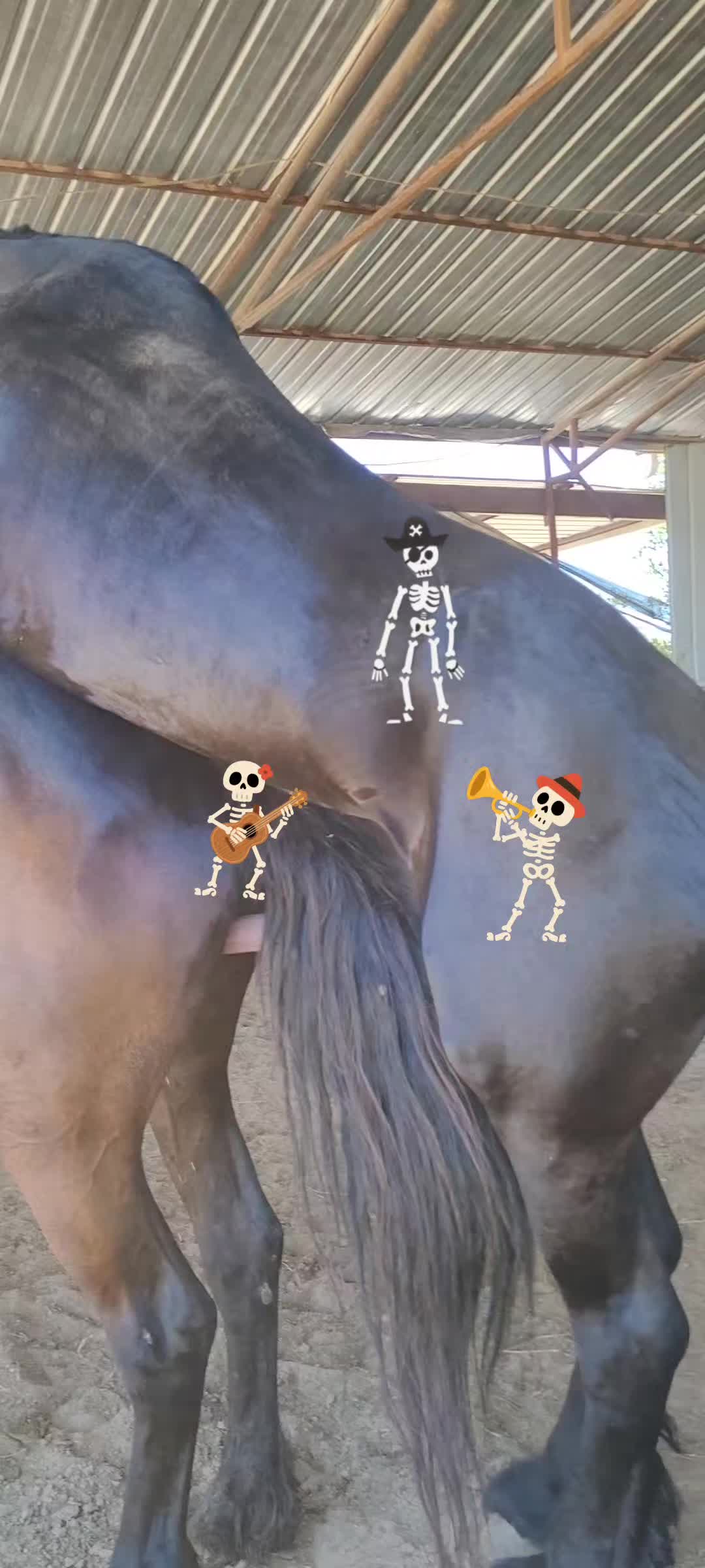@RANCHOROSAS