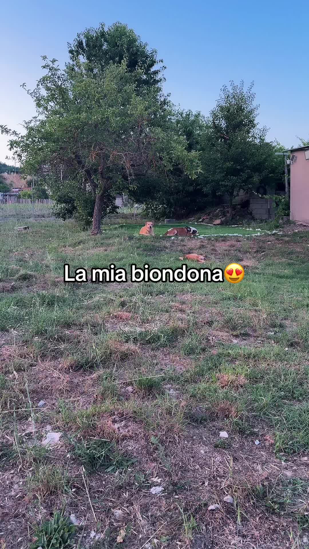 @💚Valentina💚