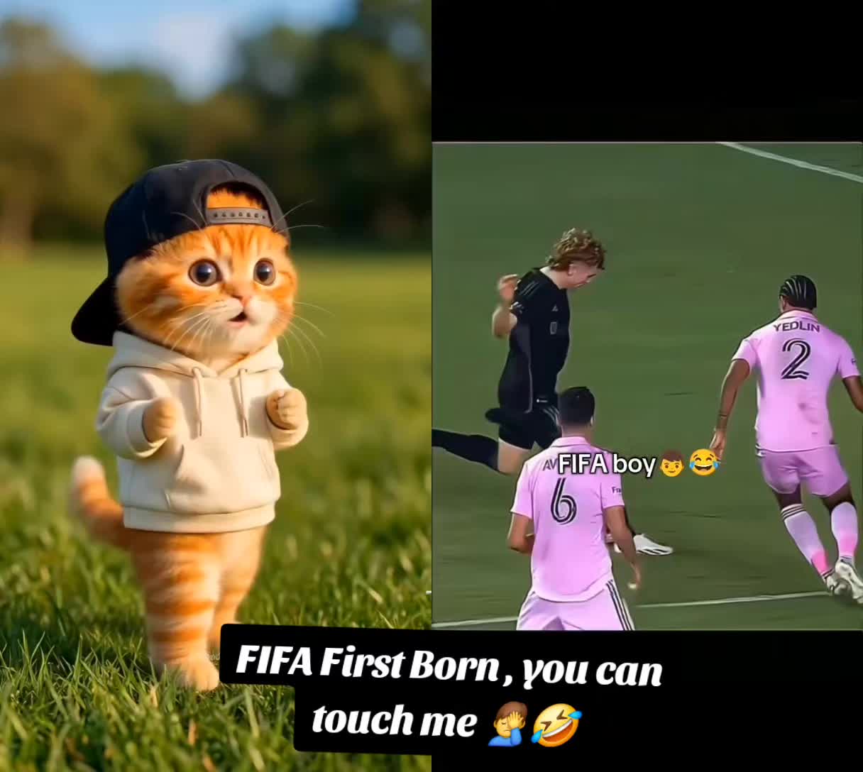 @Awaab
