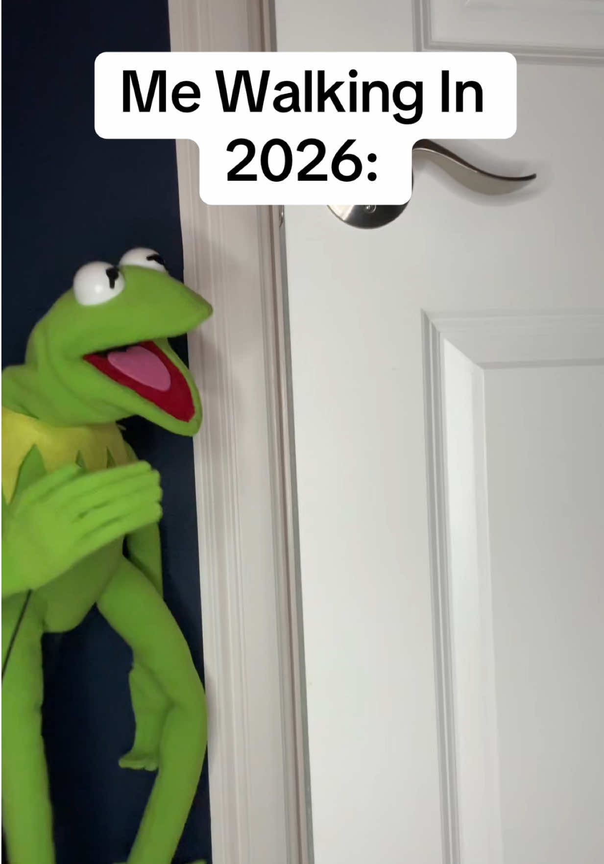 @Kermitthepuppet