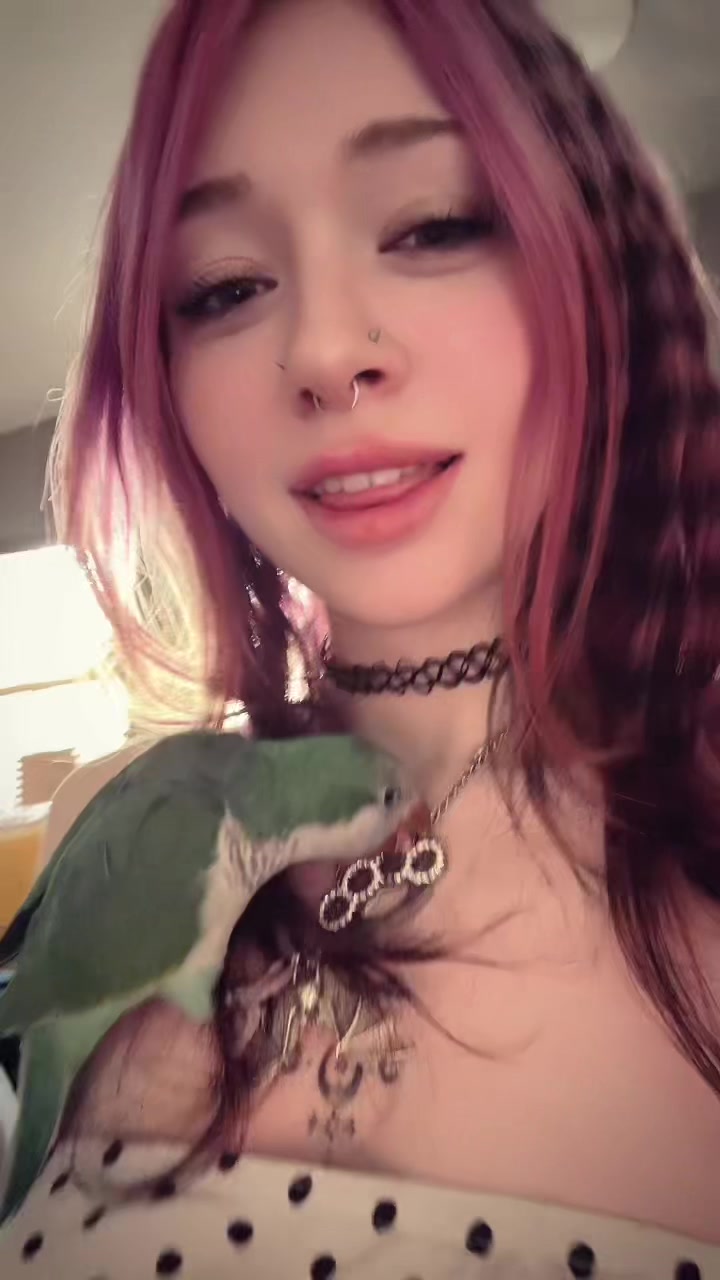 @delilah